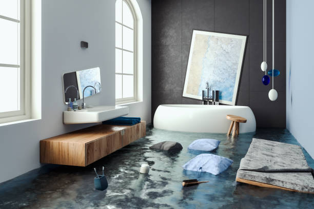  Point Venture, TX Water damage restoration Pros