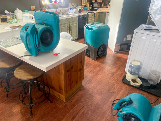 Best Residential water damage restoration  in Point Venture, TX