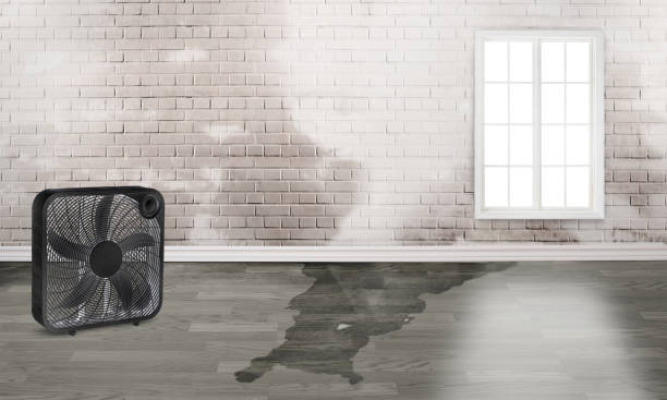 Best Water damage restoration near me  in Point Venture, TX
