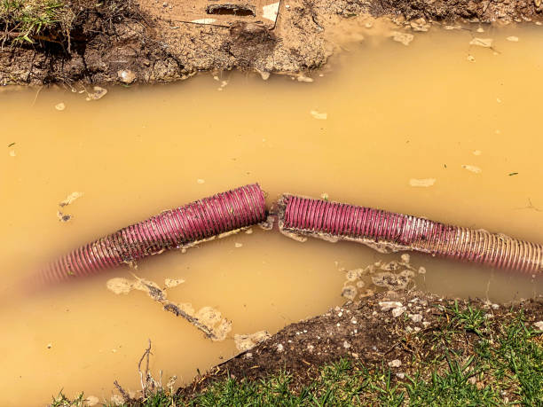 Best Mold removal after water damage  in Point Venture, TX