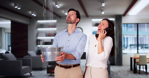 Best Sewage cleanup and water damage restoration  in Point Venture, TX